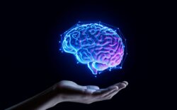 Hand hovering under human brain lit up blue and purple