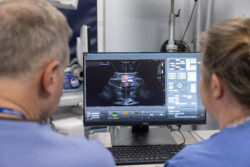 A male and female doctor, wearing blue scrubs, are looking at an ultrasound on a screen.
