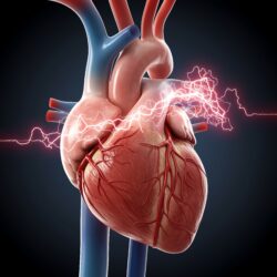 Human heart with a red lightning effect over it to demonstrate atrial fibrillation
